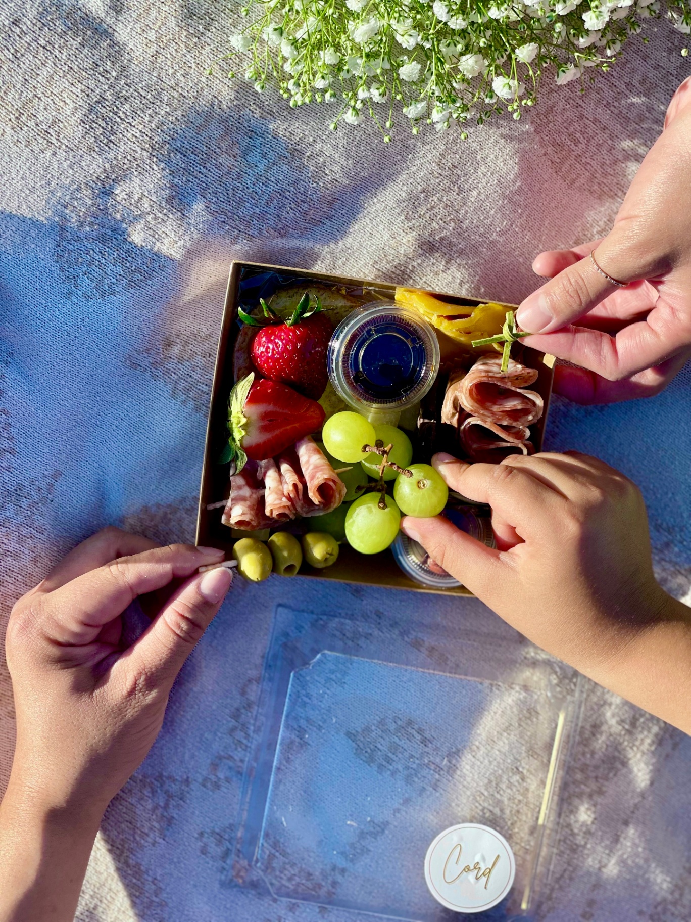 Picnic in the Sun